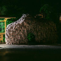 御札に覆われた京都の安井金比羅宮の夜景、縁切り神社の古木の写真