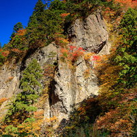秋の大仙市川口渓谷、紅葉と切り立つ岩壁の絶景の写真