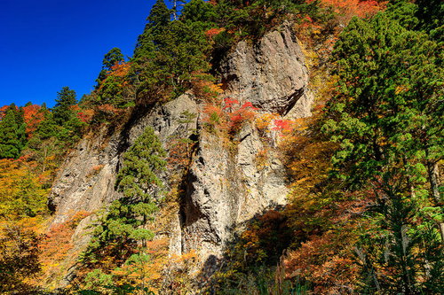 秋の大仙市川口渓谷、紅葉と切り立つ岩壁の絶景
