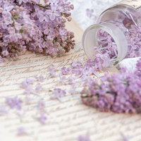 手紙の上に散ったライラックの花とガラス瓶の写真