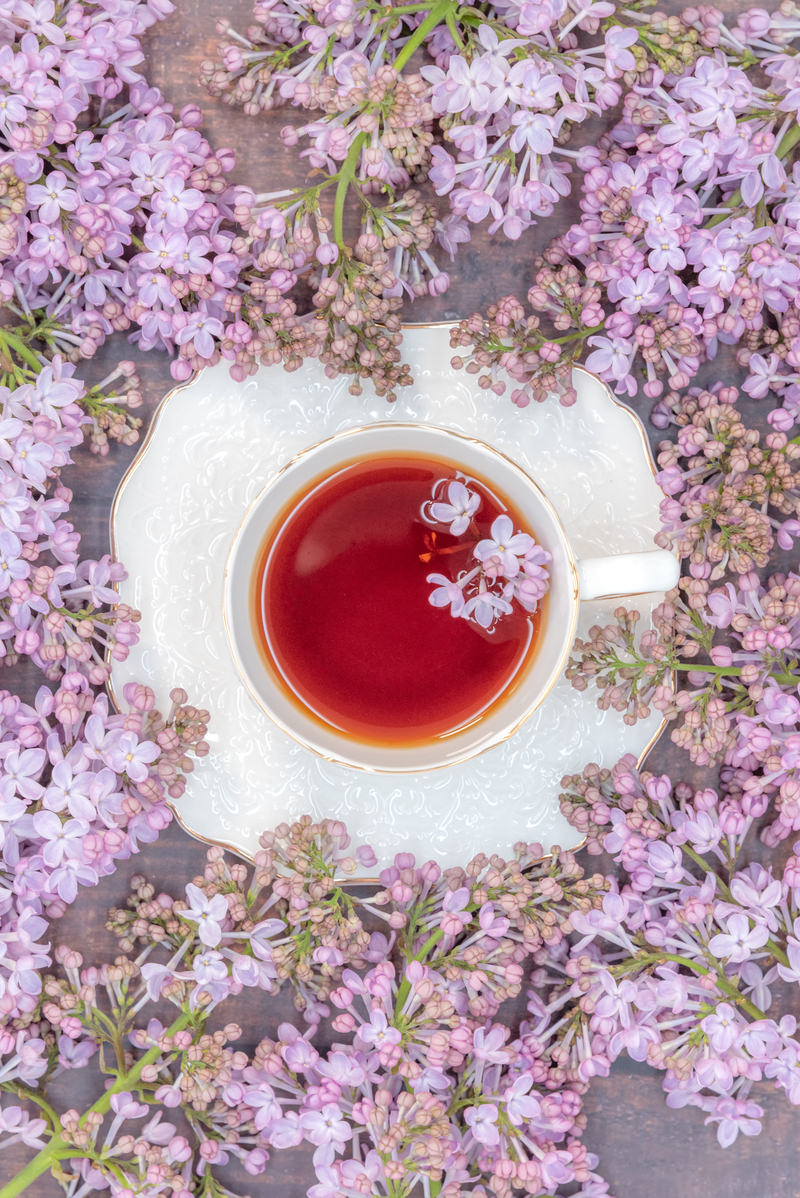 紫色のライラックの花に囲まれた白いティーカップと赤い紅茶