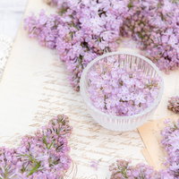 白い器に盛ったライラックと手紙の春の静物の写真