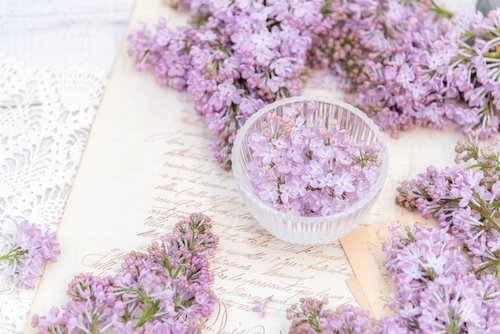 白い器に盛ったライラックと手紙の春の静物