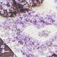 洋書の上に並べたライラックの花びらでハート型の写真