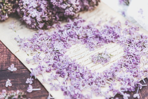 洋書の上に並べたライラックの花びらでハート型