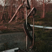 畑に置き去りにされた汚れたスニーカーの風景の写真