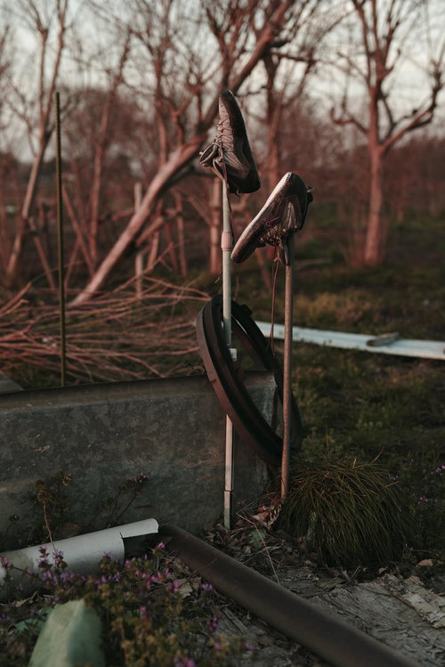 畑に置き去りにされた汚れたスニーカーの風景