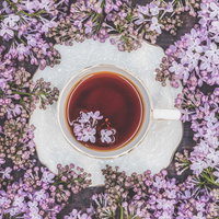 紅茶に浮かぶライラックの花びら、春のティータイムの写真