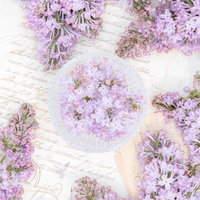 白い器に盛ったライラックと寄り添う花弁、手紙の写真