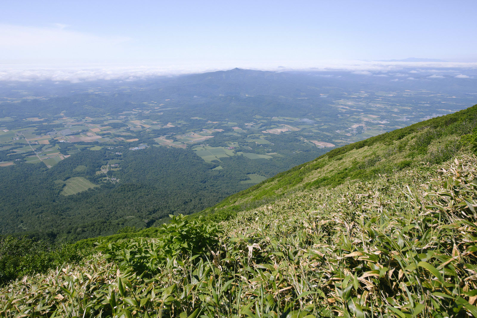 真狩コースから望む尻別岳とルスツ方面の山々、手前に笹原