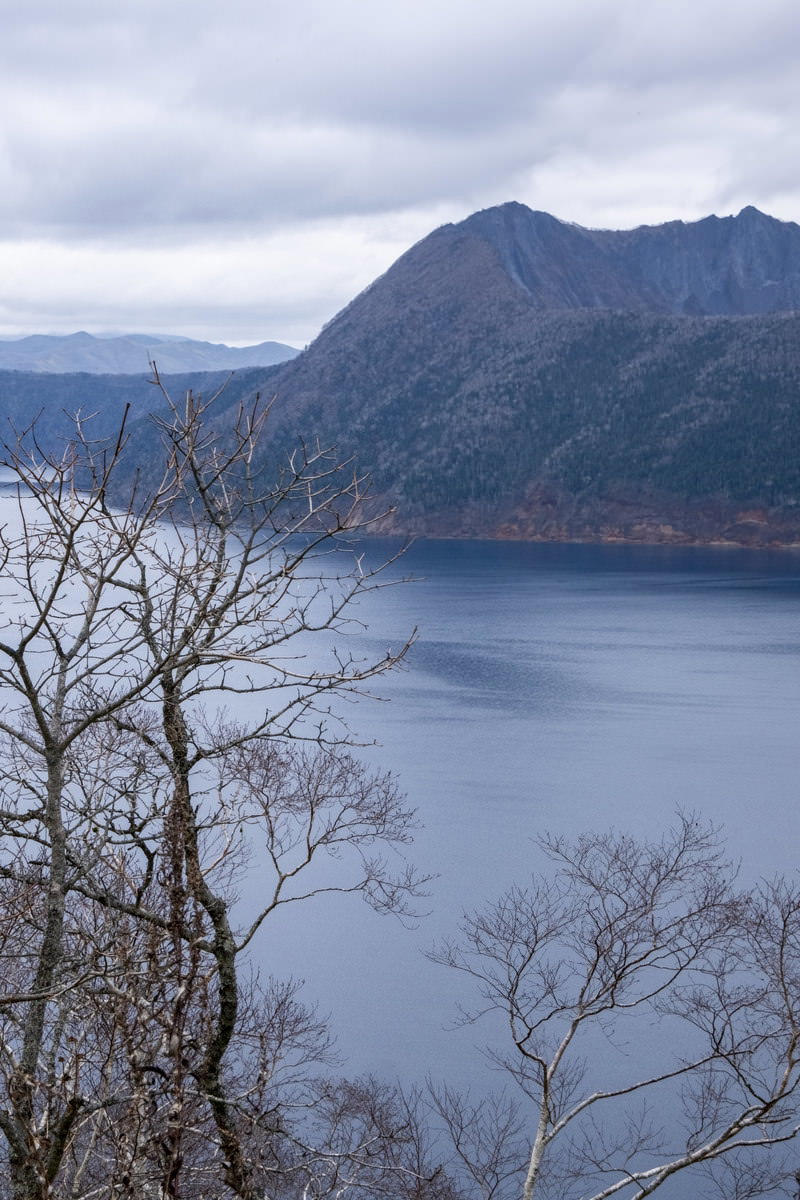 曇り空の下、手前に枝が映り込んだ北海道摩周湖の遠景
