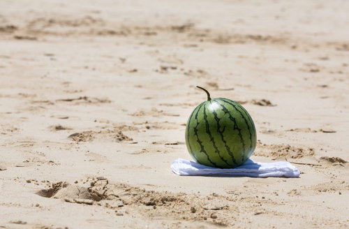 砂浜でのスイカ割り 夏の海辺でのレクリエーション活動