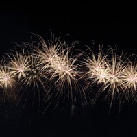 夜空に金色の光が飛び散る弾ける花火の写真