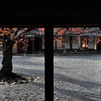 白い砂利が敷かれた文武学校の静かな中庭の風景の写真