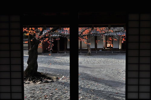 白い砂利が敷かれた文武学校の静かな中庭の風景