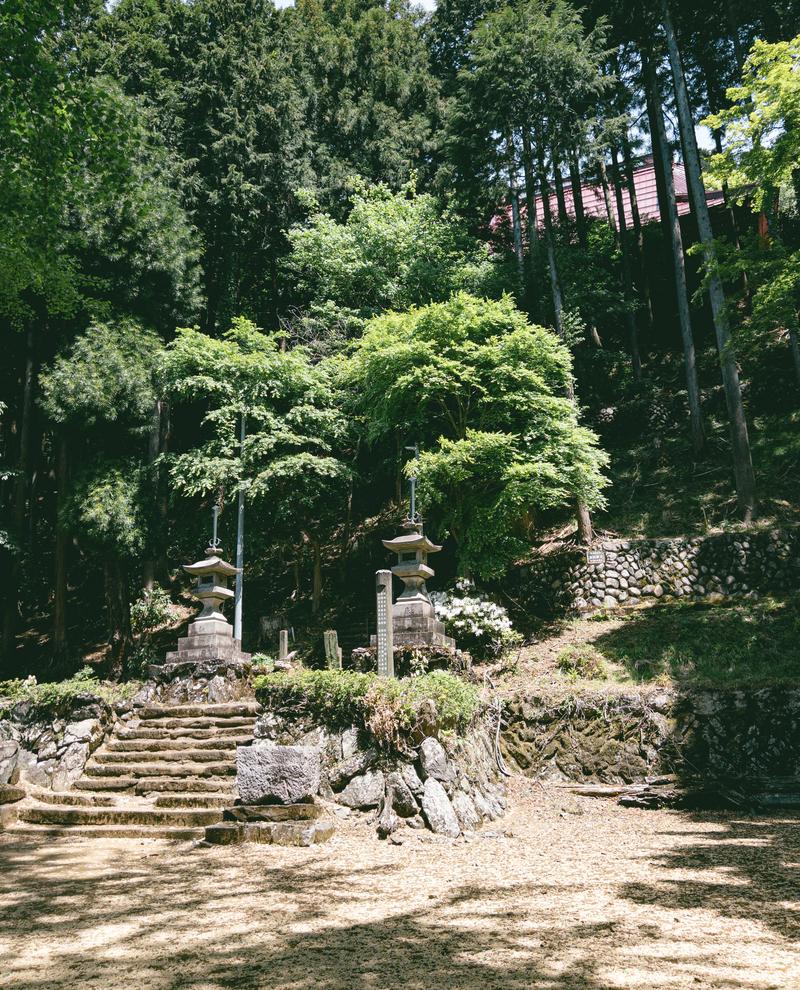 杉林の登山道口に並ぶ石造りの祠と苔むした石段