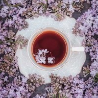 白いティーカップの紅茶に浮かぶライラックの花びらの写真