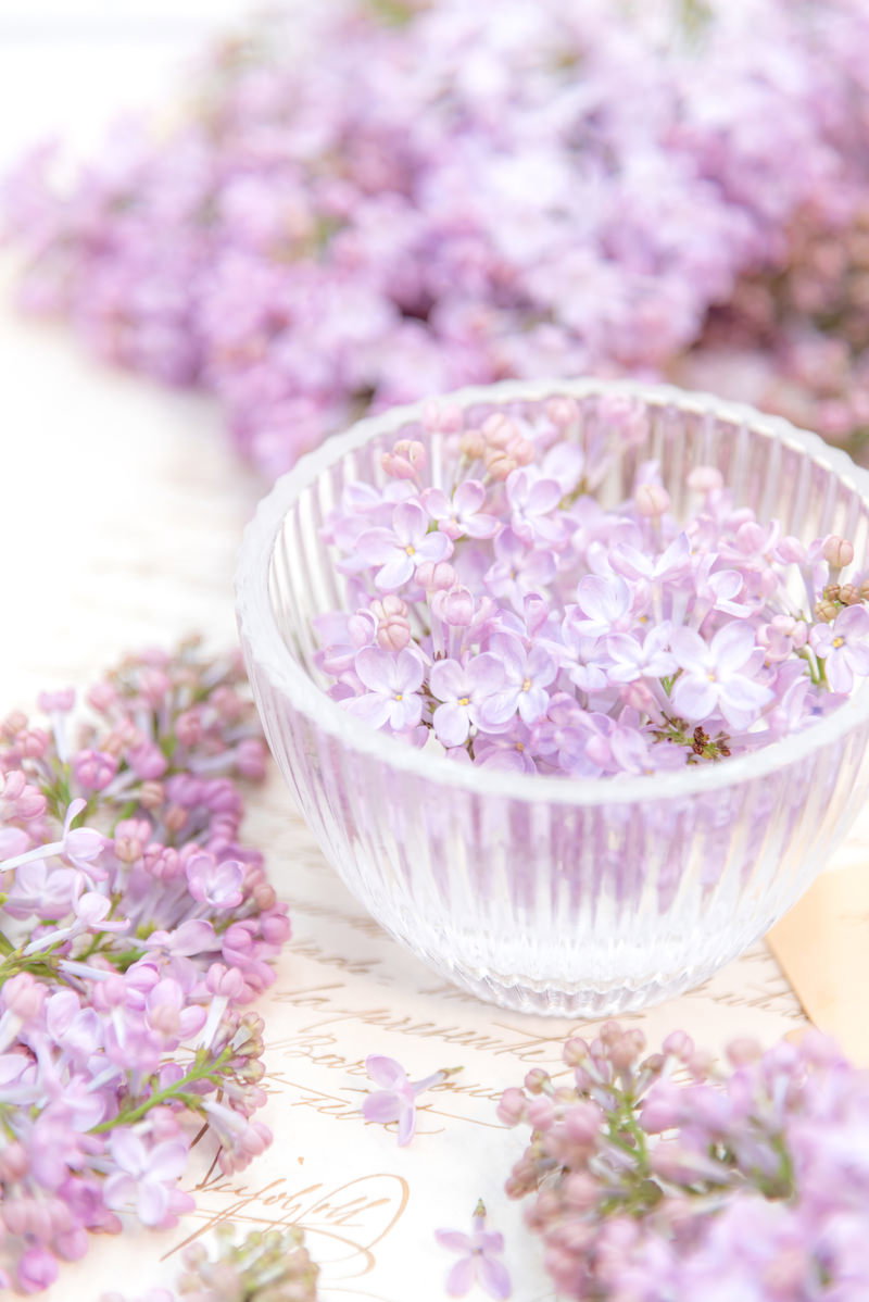 白い器に盛られた薄紫のライラックの花びら