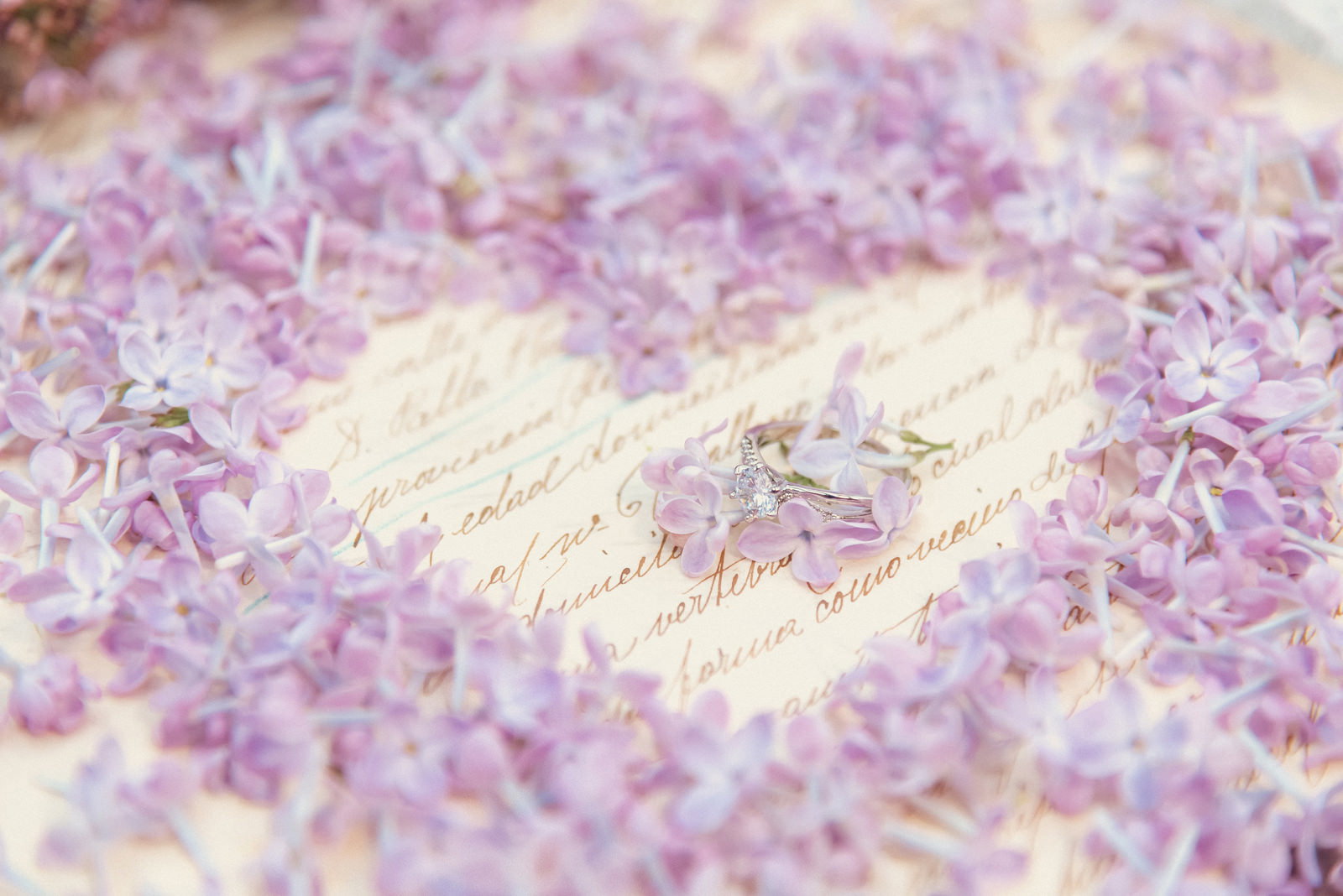 紫色のライラックの花びらでハート型を作り、中央に指輪とライラックの花を配置