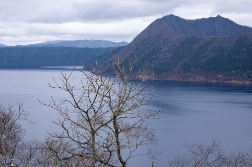 北海道の摩周湖湖畔に立つ枯れ木と山々の秋冬風景