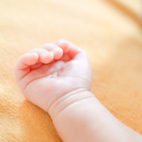 生まれたばかりの赤ちゃんの握られた小さな手と親の手の写真