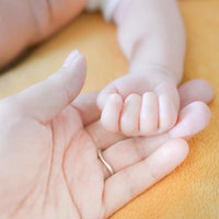親の手に握られた新生児の小さな手のスキンシップの写真