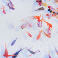 金魚すくいで泳ぐカラフルな金魚たちの涼しい水中風景の写真