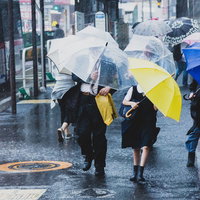 台風で突風が吹く駅前で必死に傘をさす人々の写真