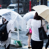 ゲリラ豪雨の中、傘をさして歩く人々の街中での様子の写真