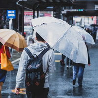 降りしきる雨の中、街中を傘をさして歩く人々の写真