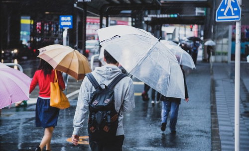 降りしきる雨の中、街中を傘をさして歩く人々