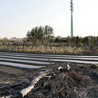 伐採された木々と送電塔のある郊外農地の写真