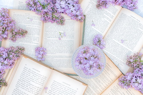 敷き詰めた洋書に添える紫色のライラックの花束