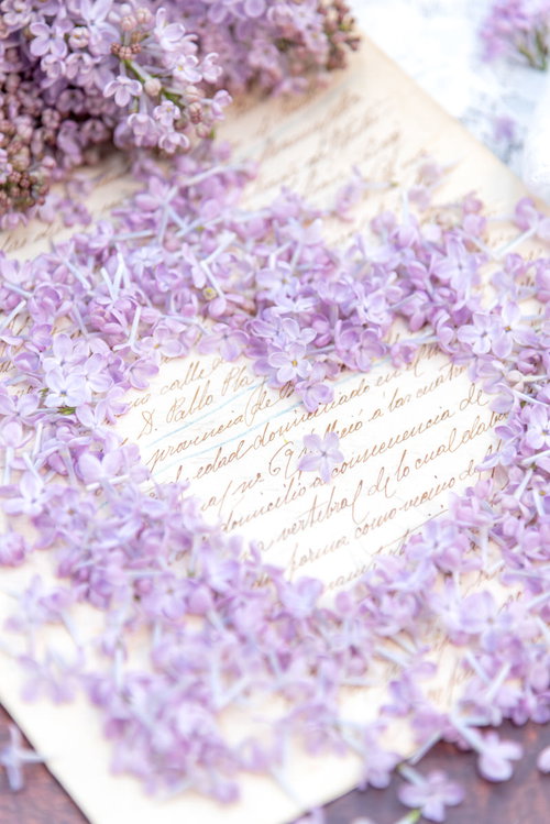 白いハート型の枠の中心に咲くライラックの花