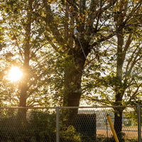 放課後・フェンス越しに見える夕陽に照らされた学校のグラウンドの写真