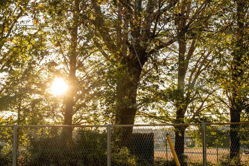 放課後・フェンス越しに見える夕陽に照らされた学校のグラウンド