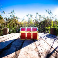 やっと探し出した本物の宝箱の写真