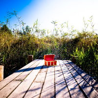 既に別の旅人が空けてしまった宝箱の写真