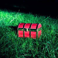 宝箱がようすをみている森の中の写真