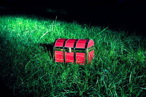 宝箱がようすをみている森の中