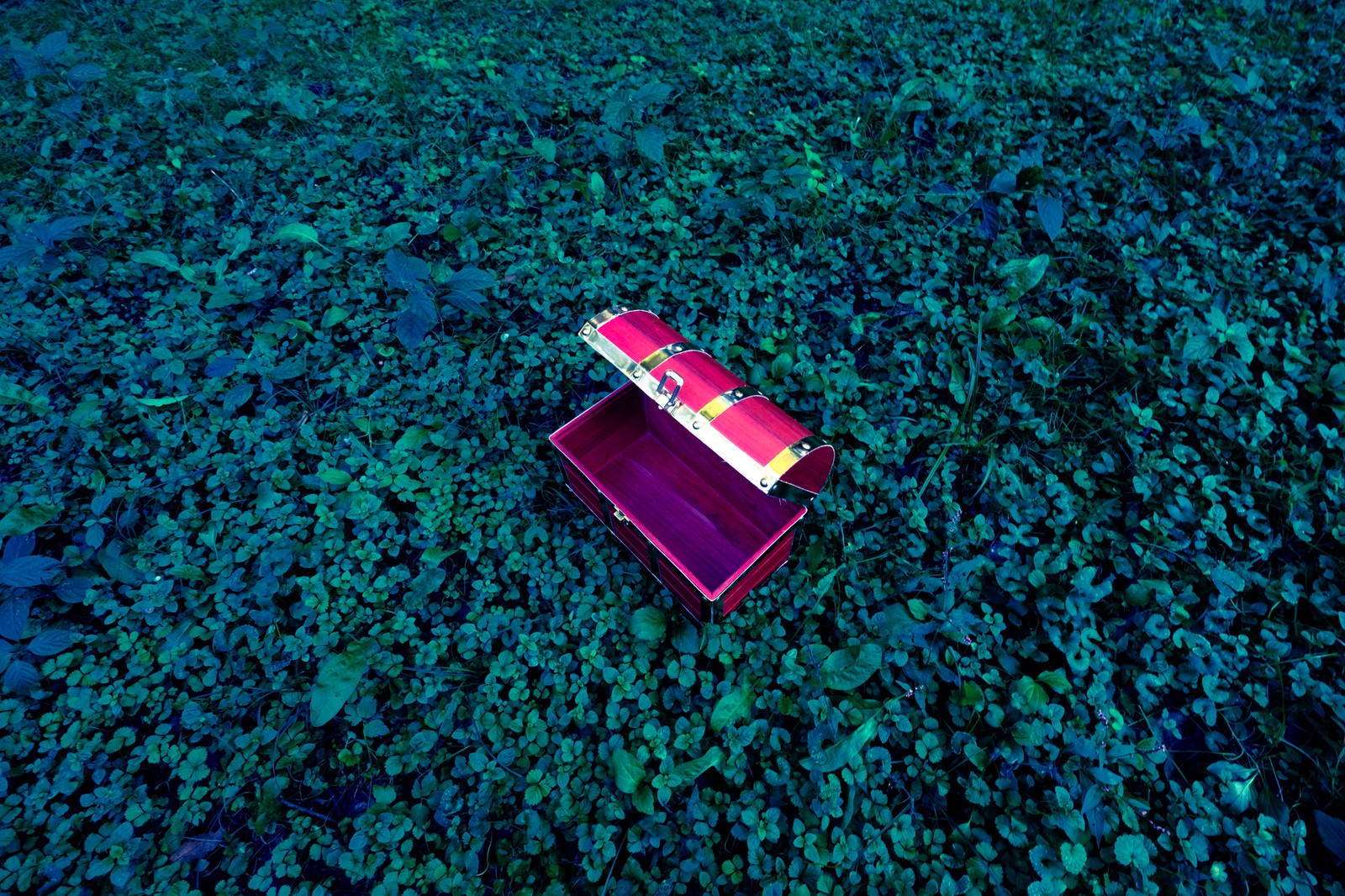 開いた空の蛍光ピンクの宝箱