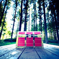 いかにもレアアイテムが入ってそうな宝箱を見つけたの写真