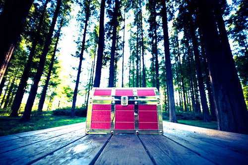 いかにもレアアイテムが入ってそうな宝箱を見つけた