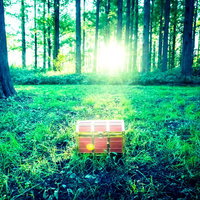 勇者は森の中で宝箱を見つけた！の写真