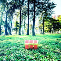 クエストをクリアしたら中央に宝箱が現れたの写真