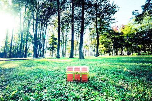 クエストをクリアしたら中央に宝箱が現れた