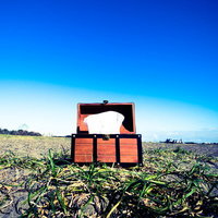 花粉症勇者のお供にぜひの写真