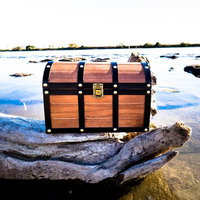 水系モンスターを倒したら宝箱が出たの写真