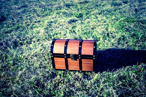 芝生の上に宝箱を見つけた！