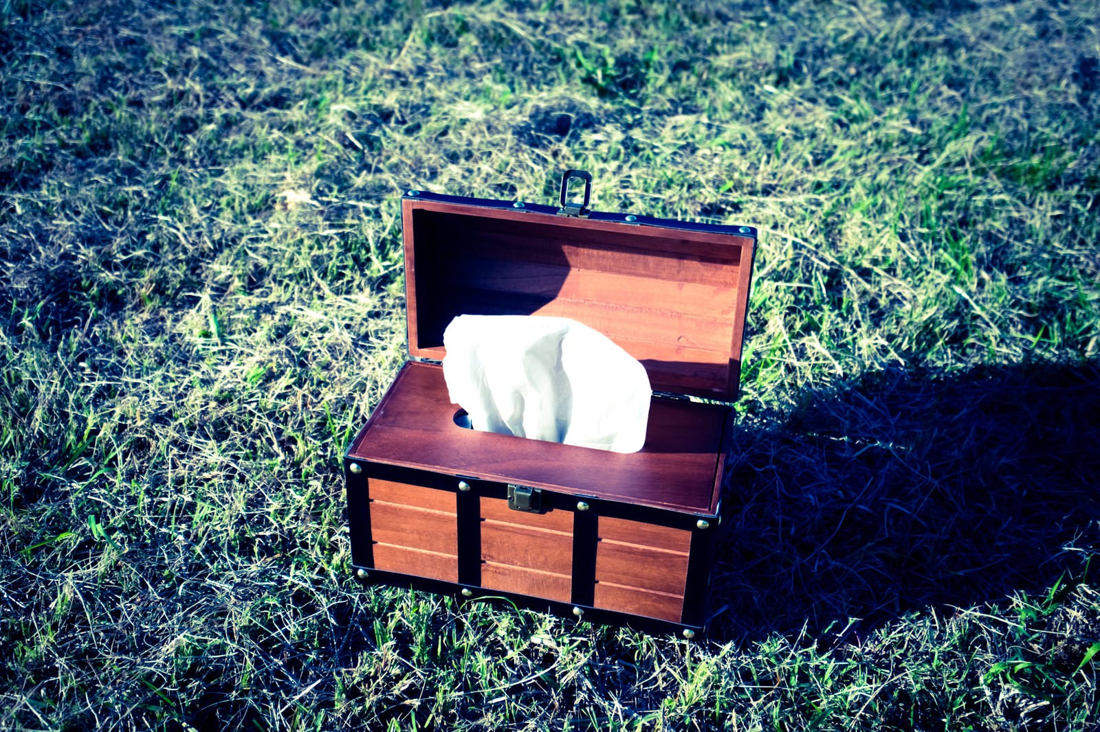 草地の上に開いた蓋の茶色い木製宝箱型ティッシュケース、白いティッシュが詰まった状態